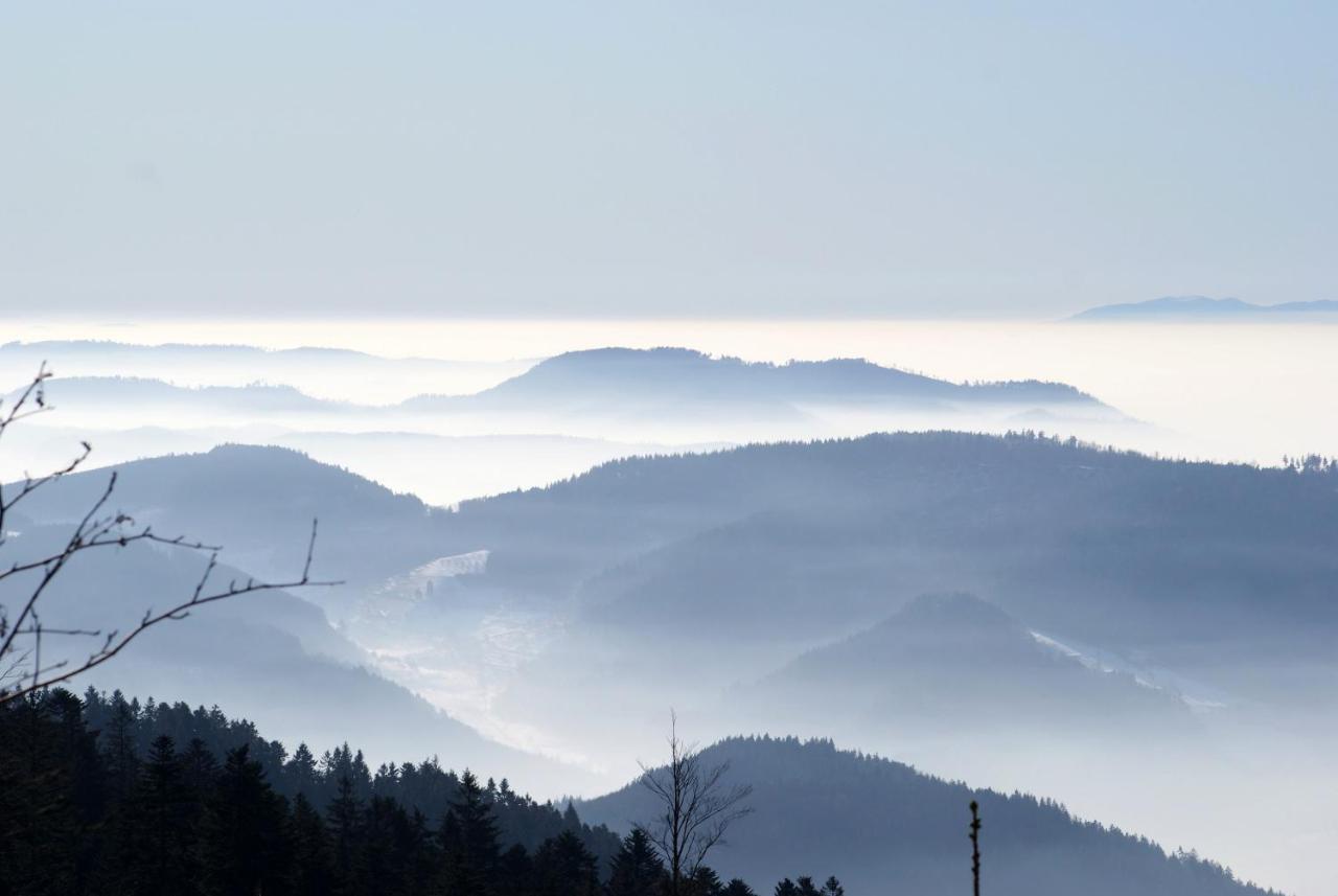 Schauenburgblick Διαμέρισμα Oberkirch  Εξωτερικό φωτογραφία